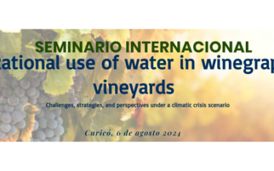 web-seminar: Rational Use of Water in Winegrape Vineyards