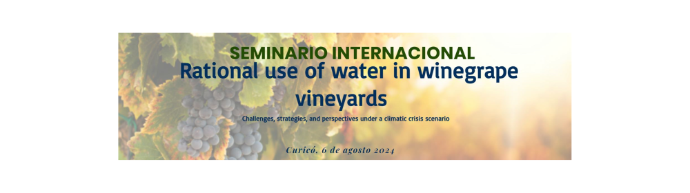 web-seminar: Rational Use of Water in Winegrape Vineyards